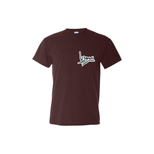 Classy Syria T-Shirt
